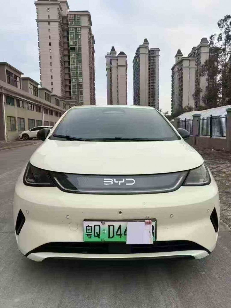 广州25年比亚迪海豚1