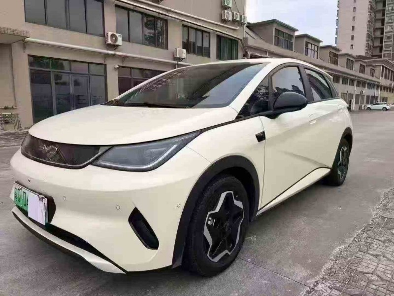 广州25年比亚迪海豚2