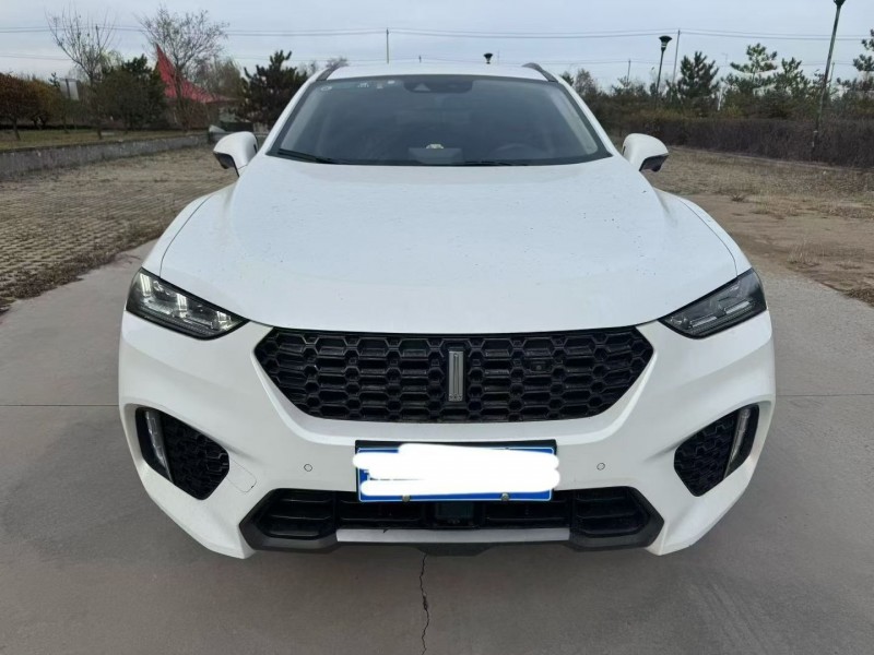 运城19年长城汽车WEY1