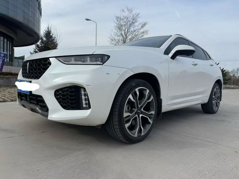 运城19年长城汽车WEY2