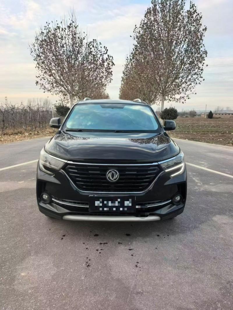 运城20年东风风行1