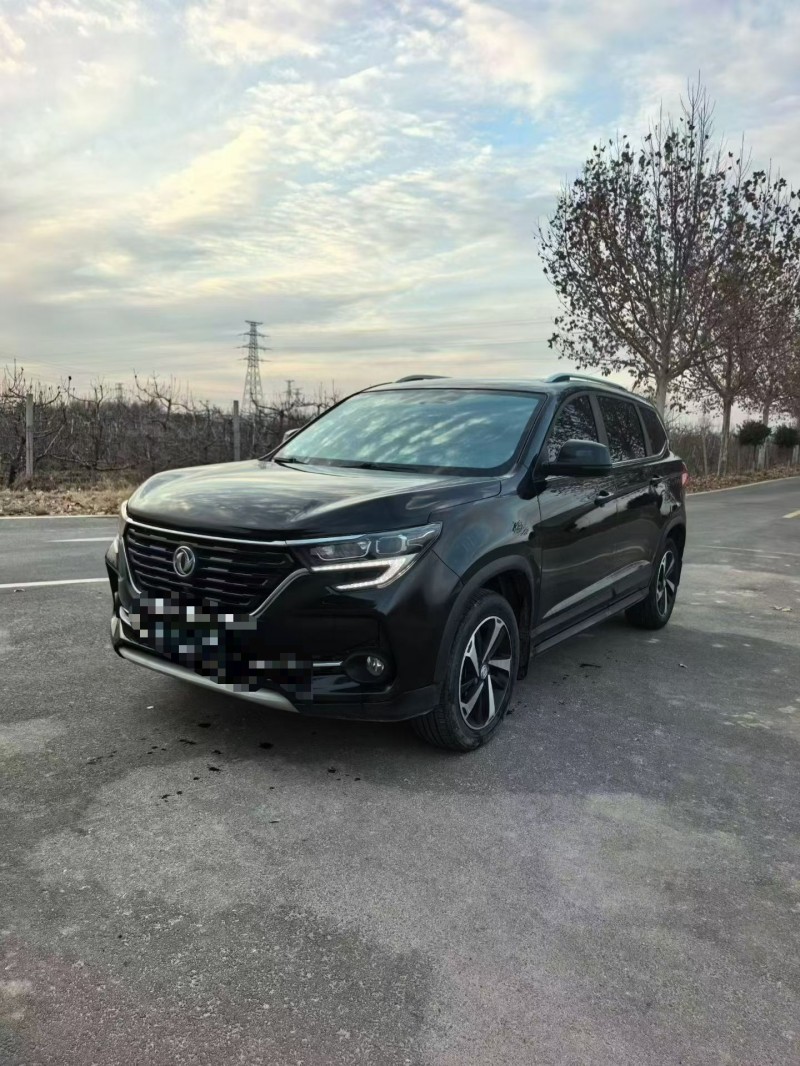 运城20年东风风行2