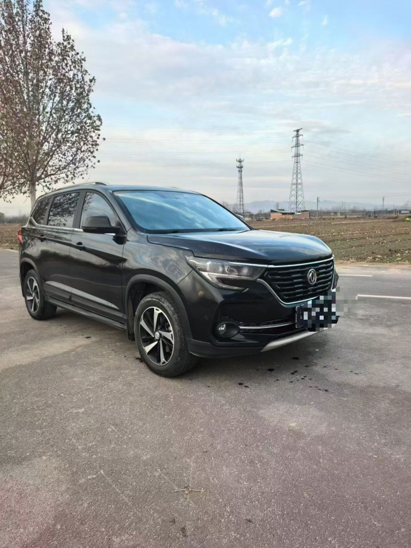 运城20年东风风行3