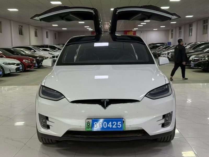廊坊19年特斯拉MODEL X1