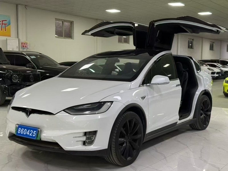 廊坊19年特斯拉MODEL X2