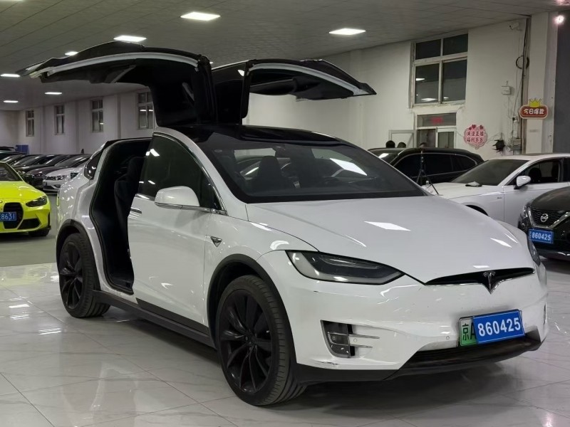 廊坊19年特斯拉MODEL X3
