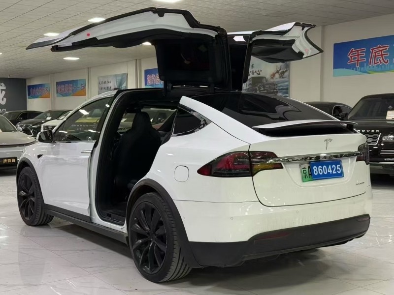 廊坊19年特斯拉MODEL X8
