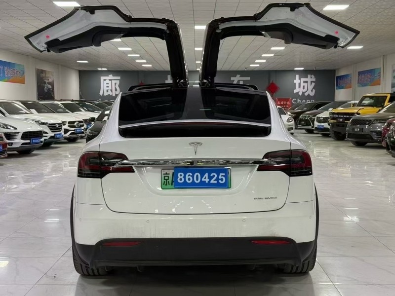 廊坊19年特斯拉MODEL X9