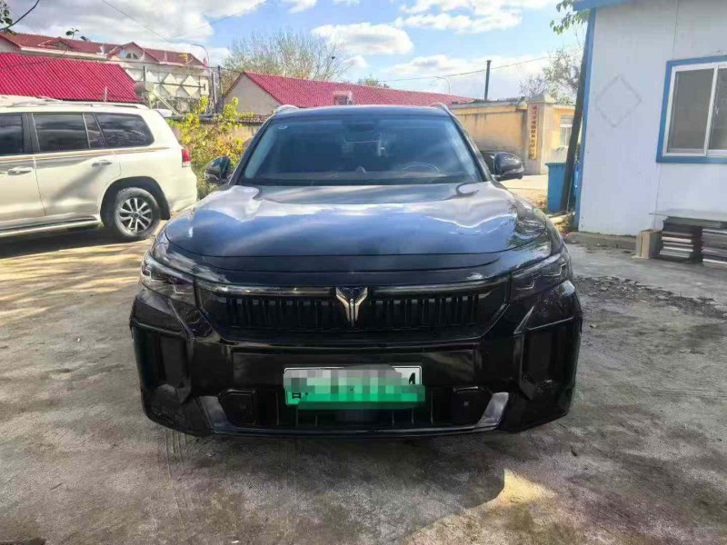 烟台24年岚图汽车FREE1