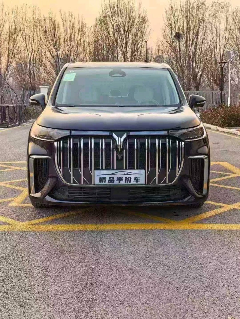 承德25年岚图汽车梦想家1