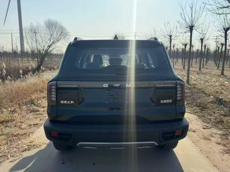 天津25年哈弗大狗9