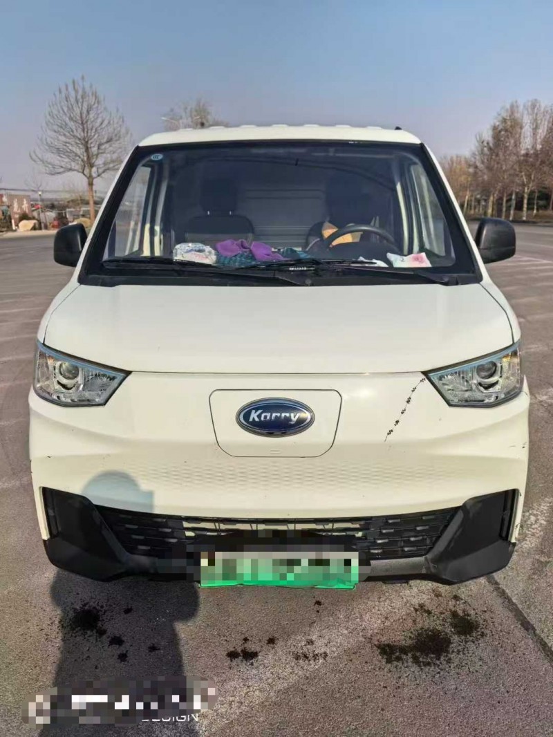 潍坊24年开瑞江豚1