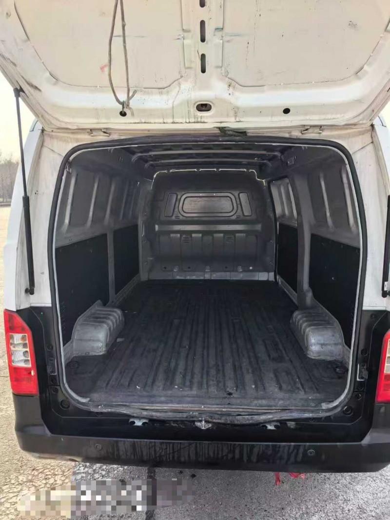 潍坊24年开瑞江豚5