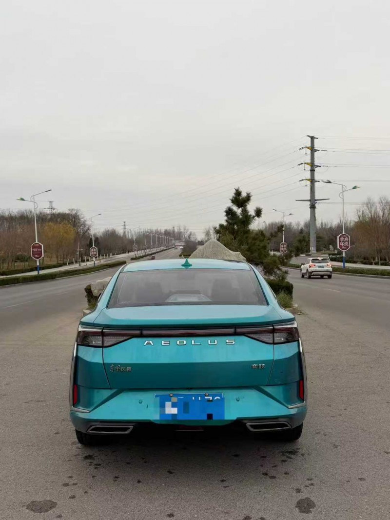 聊城20年东风奕炫9