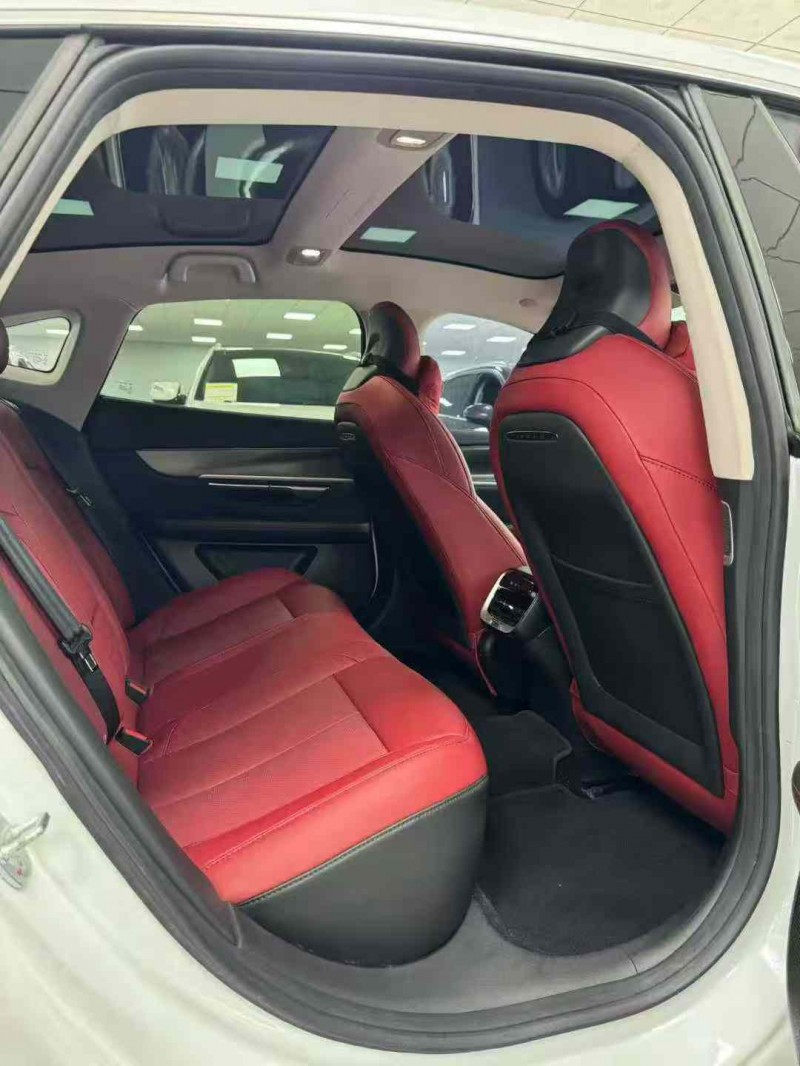 廊坊24年小鹏汽车p78