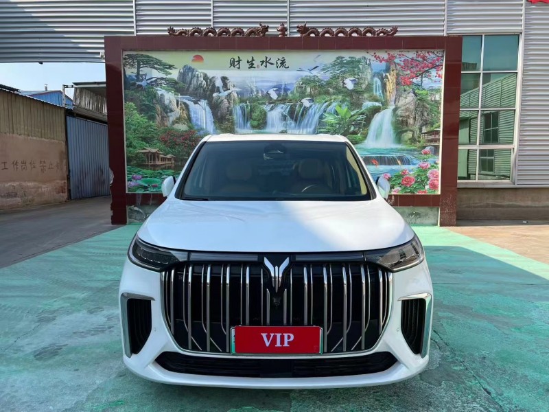 临沂23年岚图汽车梦想家1