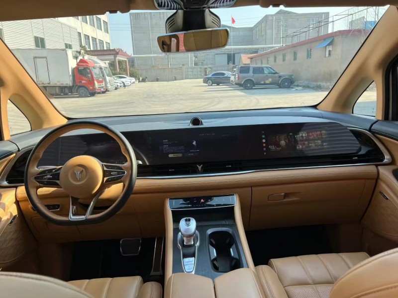 临沂23年岚图汽车梦想家4