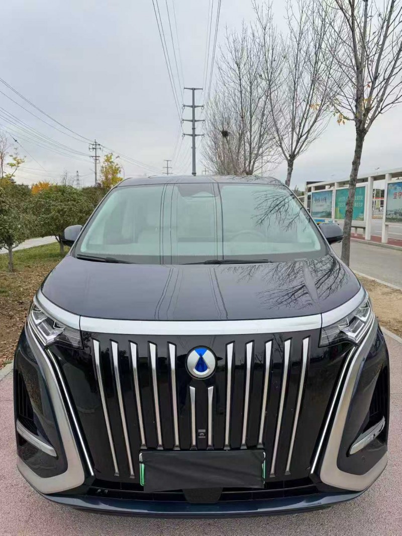 潍坊24年腾势D91