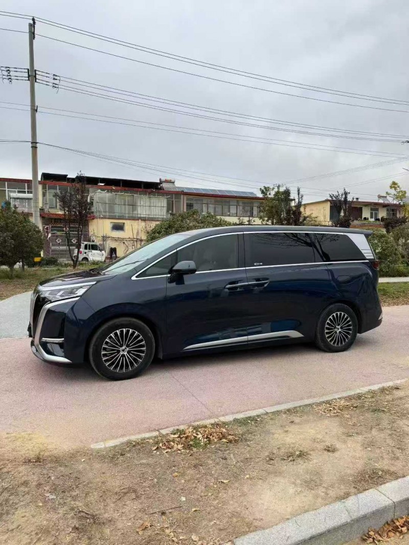 潍坊24年腾势D93