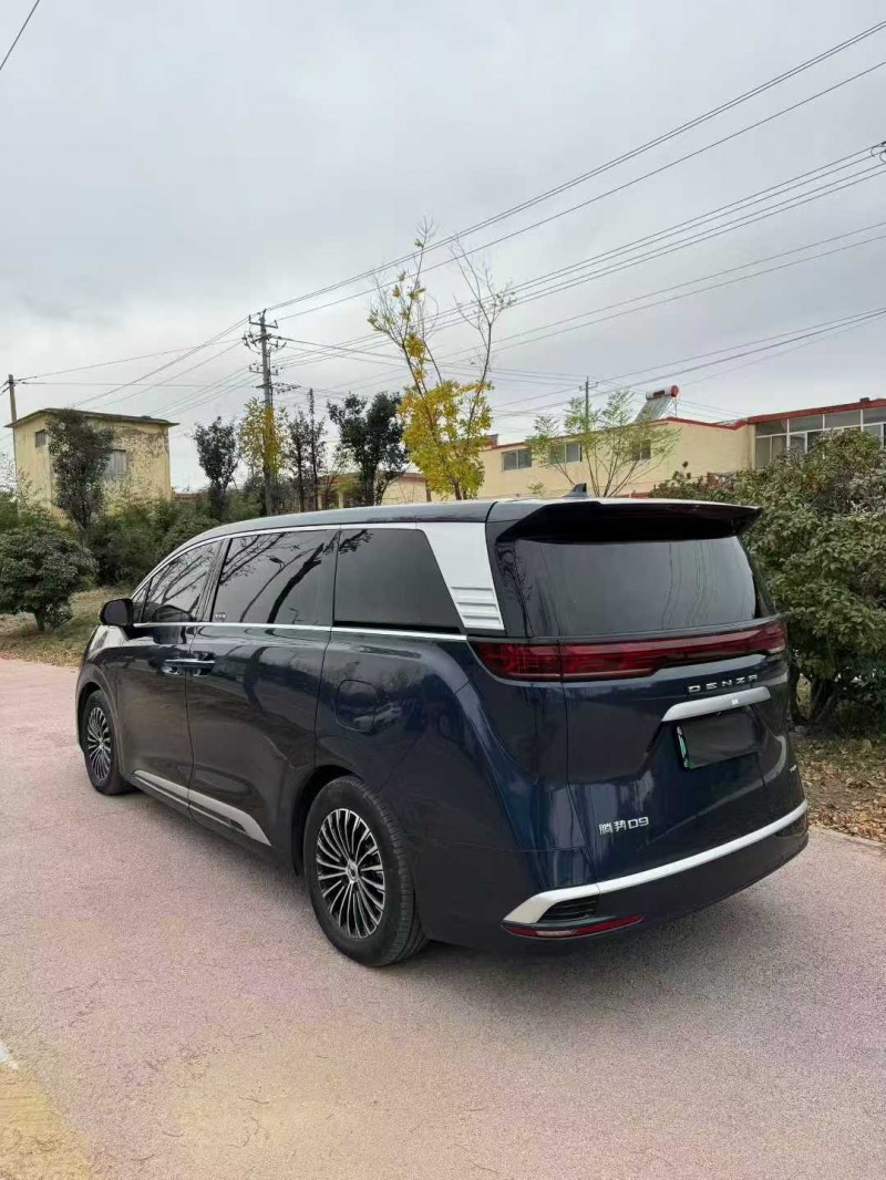 潍坊24年腾势D98