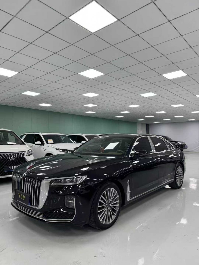 廊坊20年红旗H94