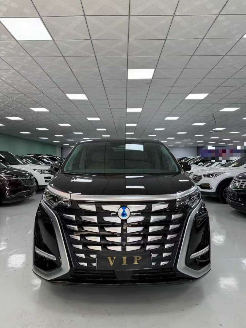 廊坊23年腾势D91