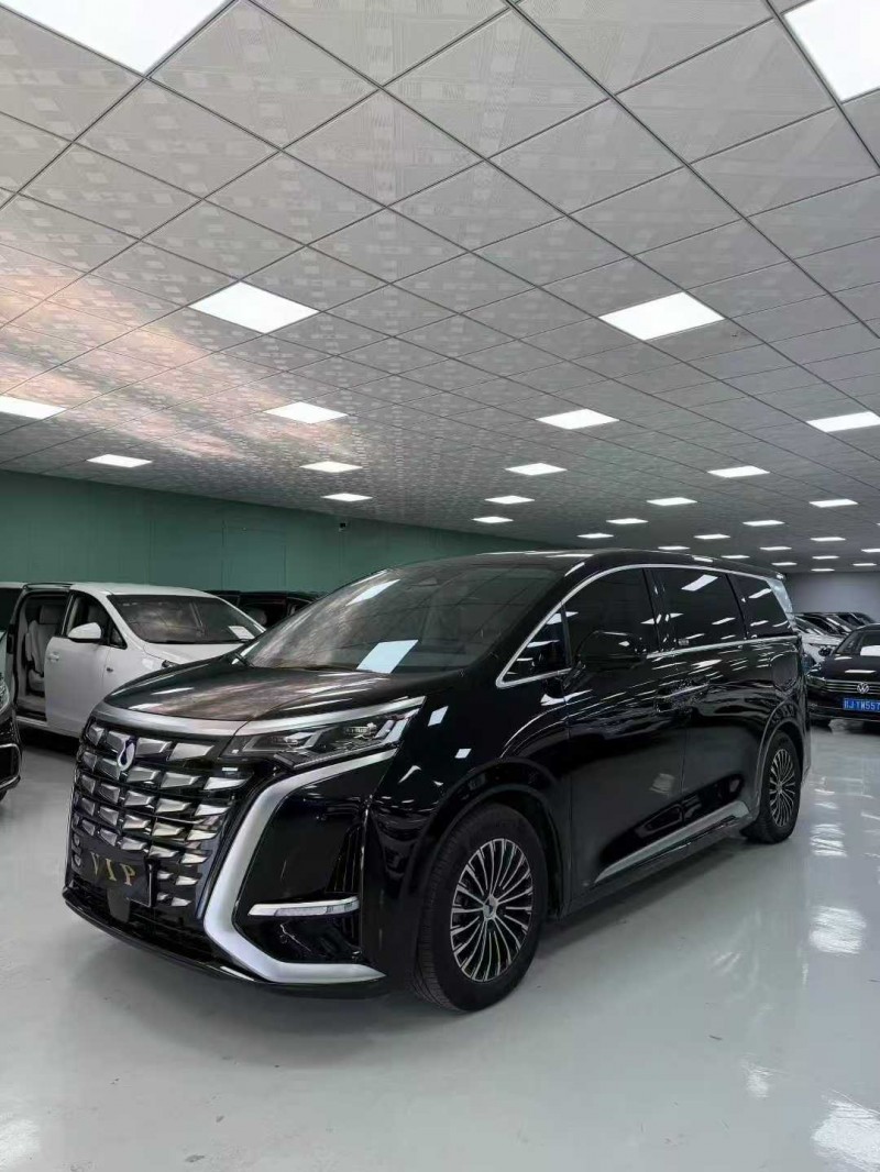 廊坊23年腾势D92