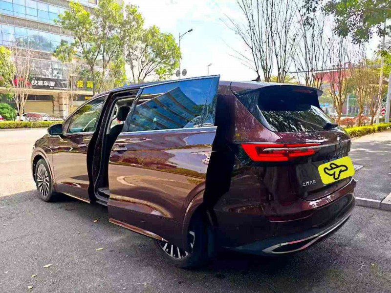 珠海20年大众威然7