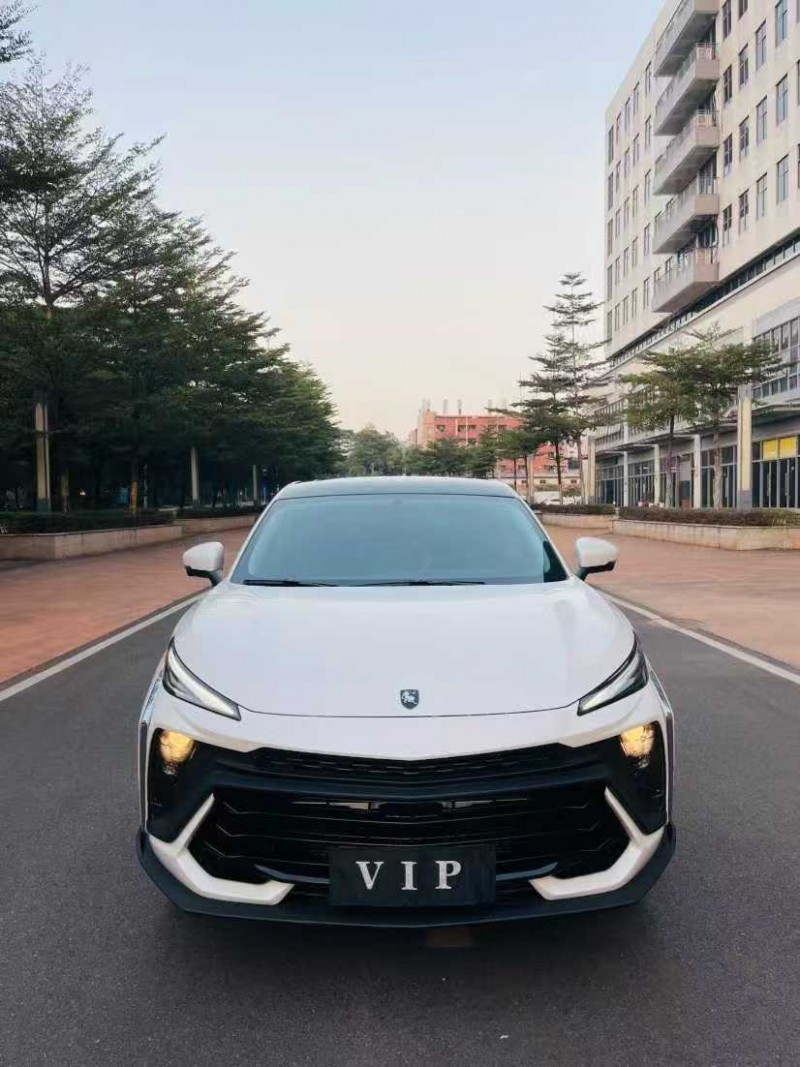 东莞24年东风风行1