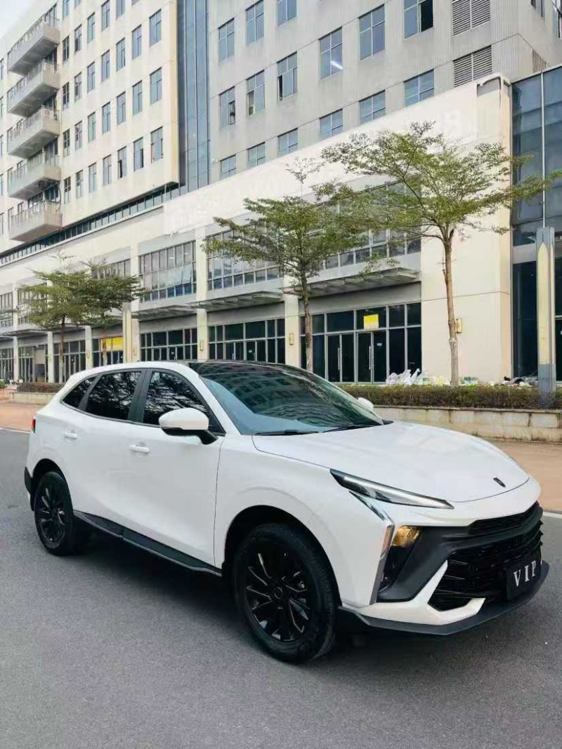 东莞24年东风风行2