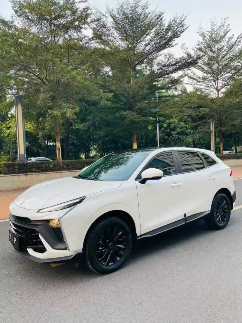 东莞24年东风风行4