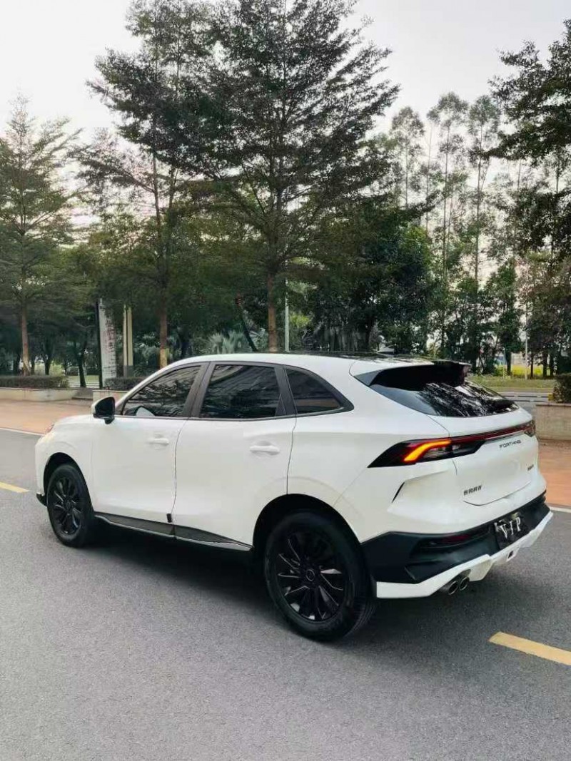 东莞24年东风风行8