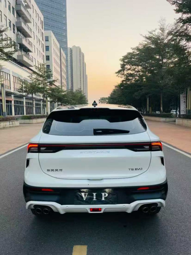 东莞24年东风风行9