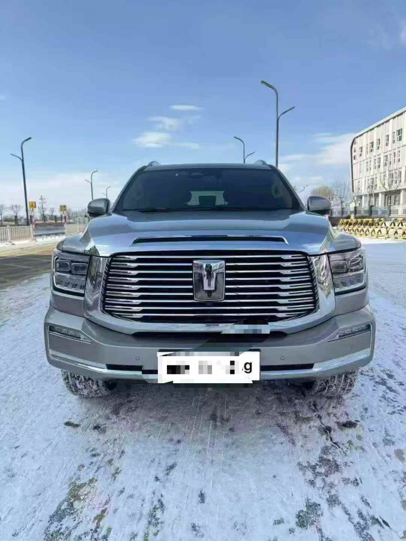 邯郸24年长城汽车坦克1