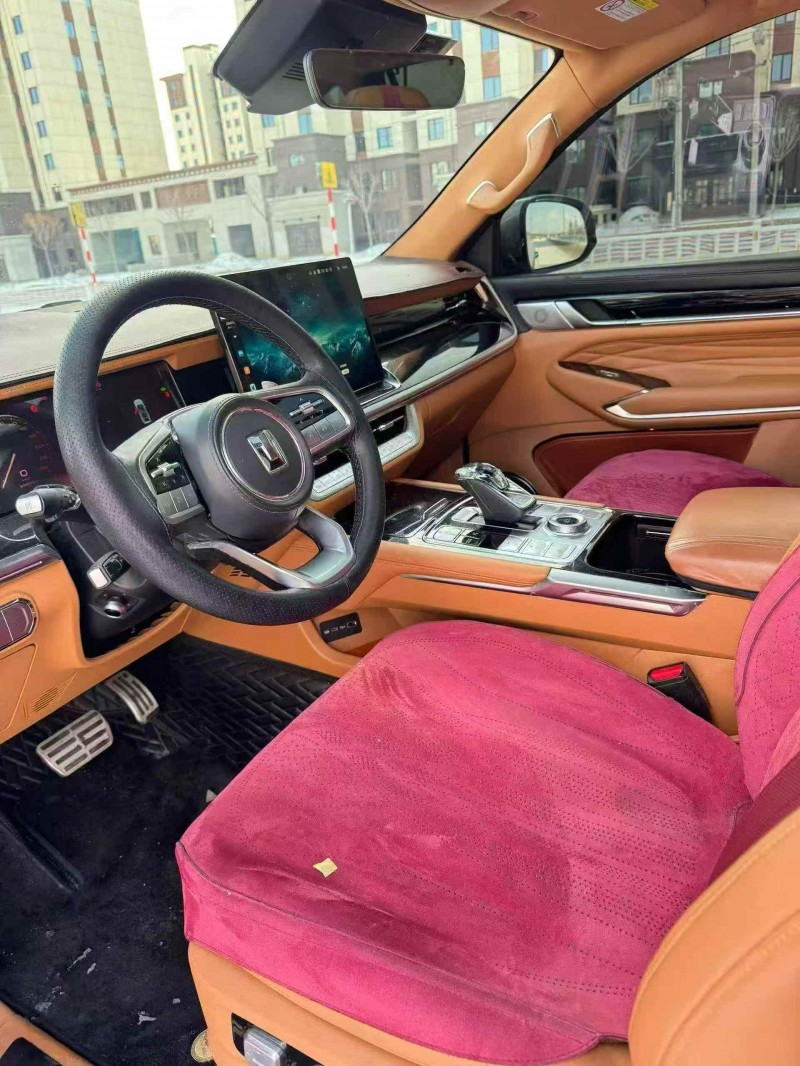 邯郸24年长城汽车坦克4