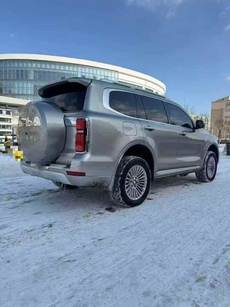 邯郸24年长城汽车坦克8