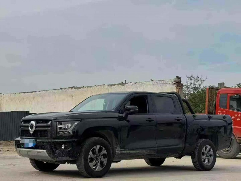 重庆24年长城汽车炮 皮卡2