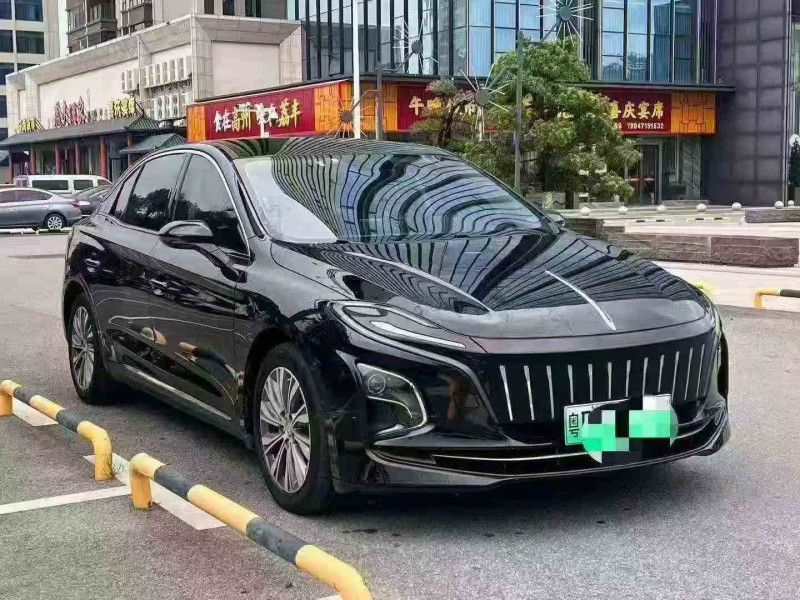 湛江23年红旗E-QM52