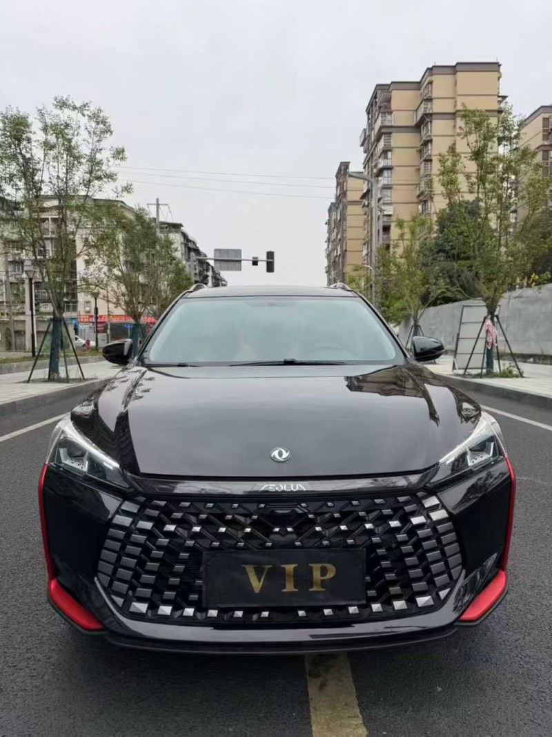 成都23年东风奕炫1