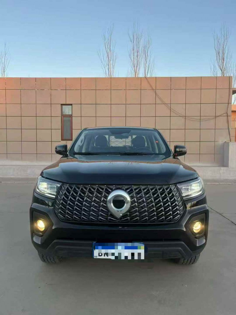 赤峰25年长城汽车炮 皮卡1