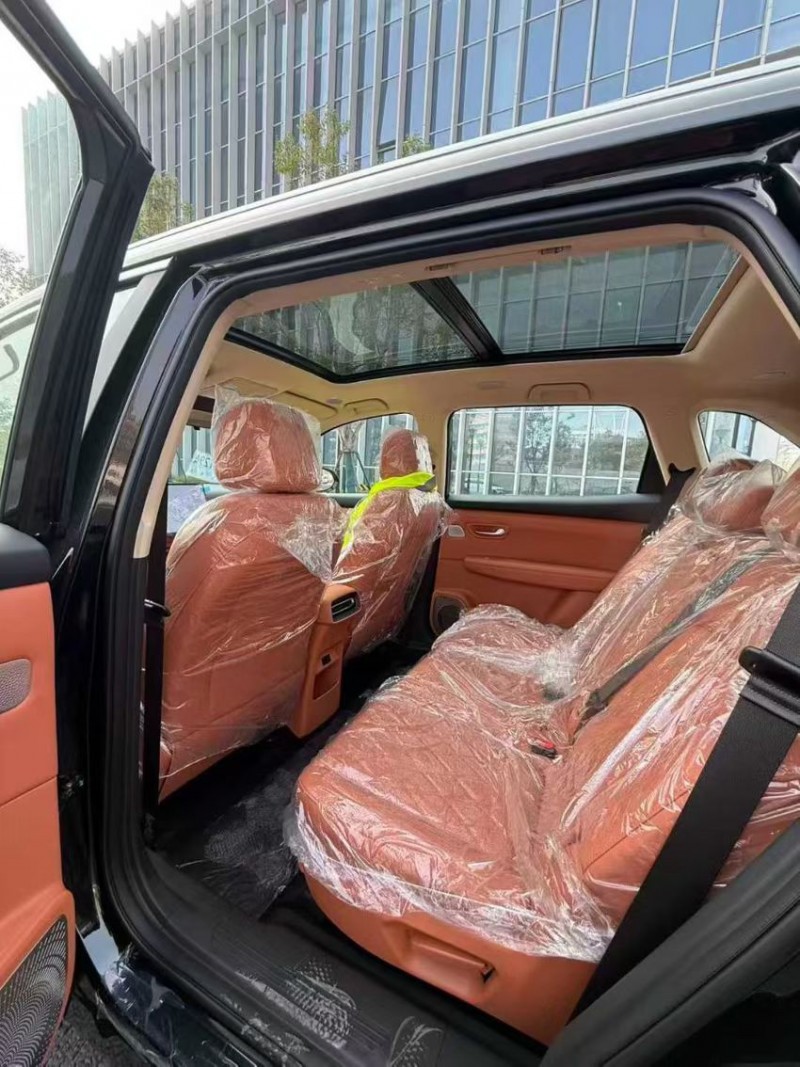 成都25年东风蓝电E56