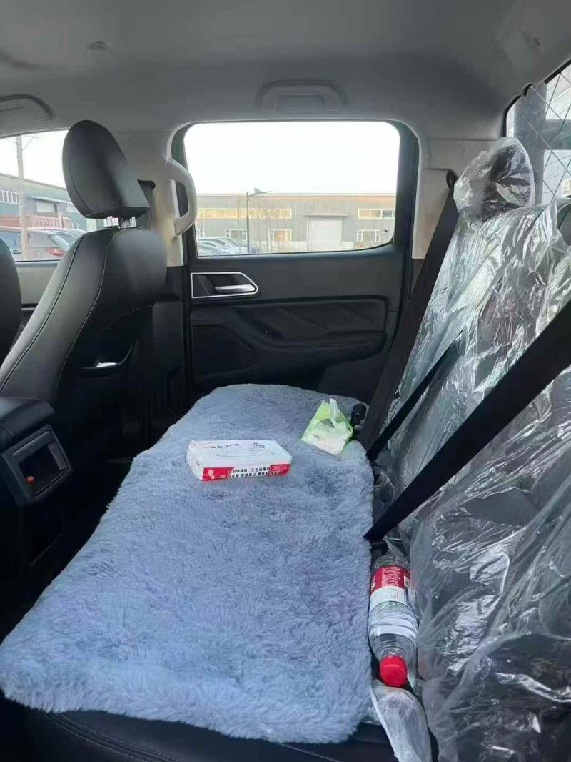 赤峰25年长城汽车炮 皮卡5