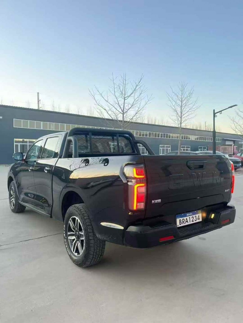 赤峰25年长城汽车炮 皮卡6