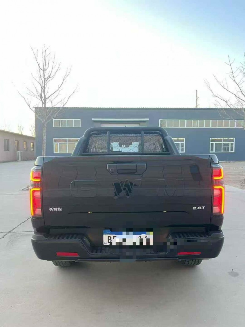 赤峰25年长城汽车炮 皮卡8