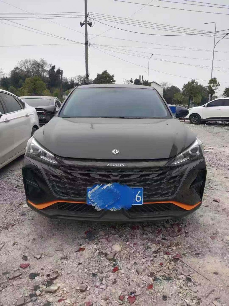 娄底24年东风奕炫1