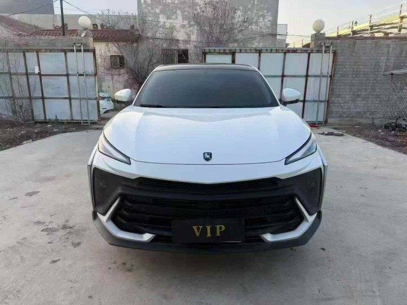 枣庄24年东风风行1