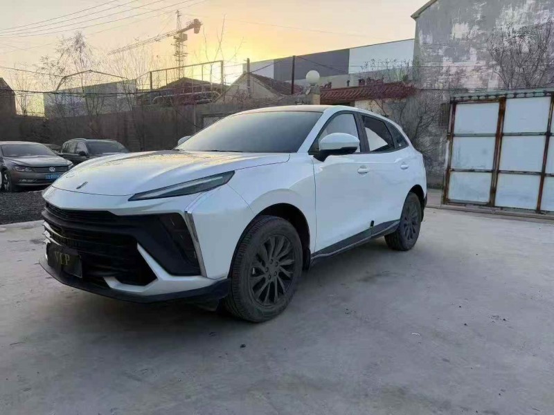 枣庄24年东风风行2