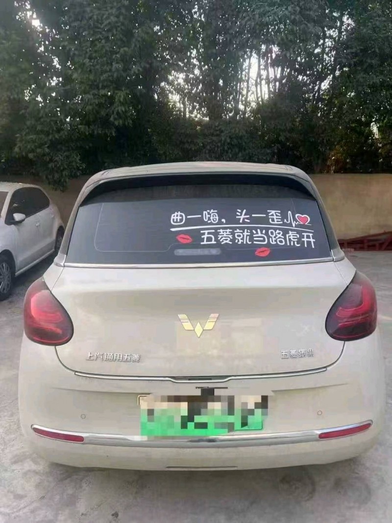 潍坊24年五菱汽车缤果8