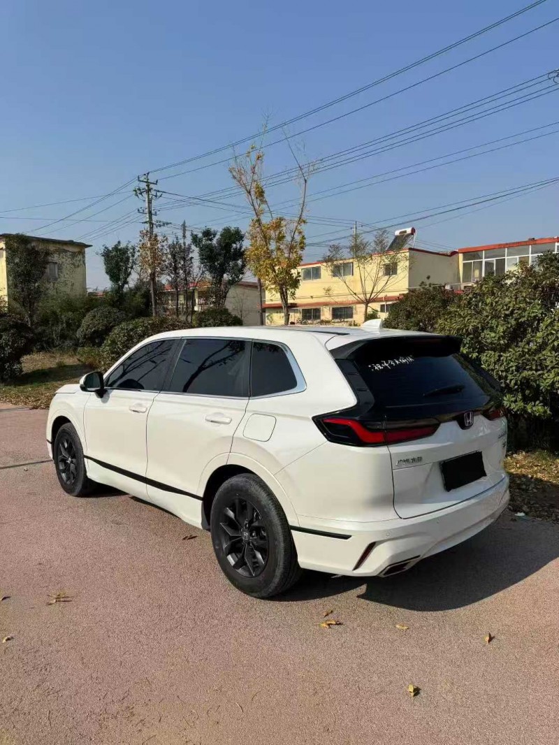 淄博24年本田皓影4