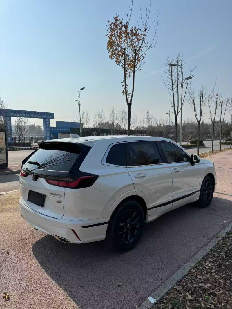 淄博24年本田皓影5